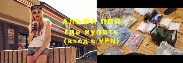 дживик Баксан