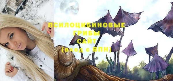 мескалин Балахна
