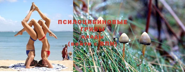мескалин Балахна