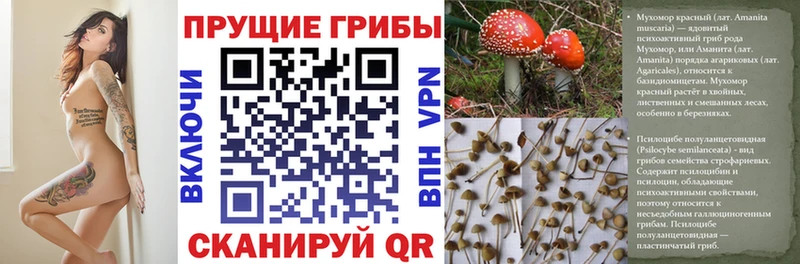 Галлюциногенные грибы Cubensis  Купить закладки  Суоярви 